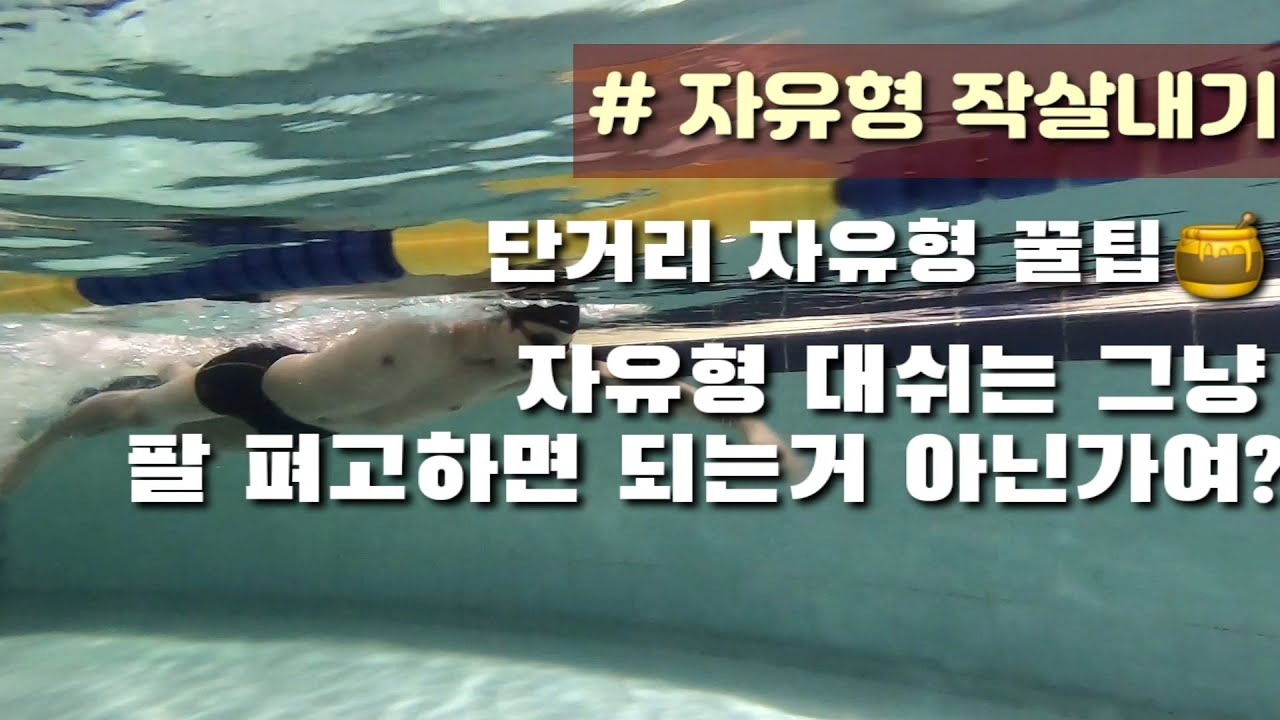 자유형 마스터의 대쉬를 물 속에서 감상하시지욧!(고화질촬영📸)