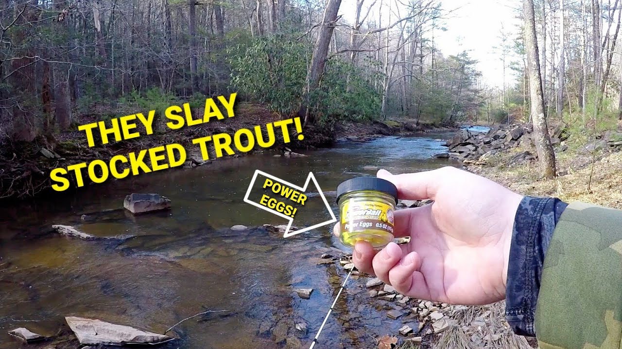 Berkley POWER EGGS Trout Fishing CHALLENGE | Mountain Trout Fishing!