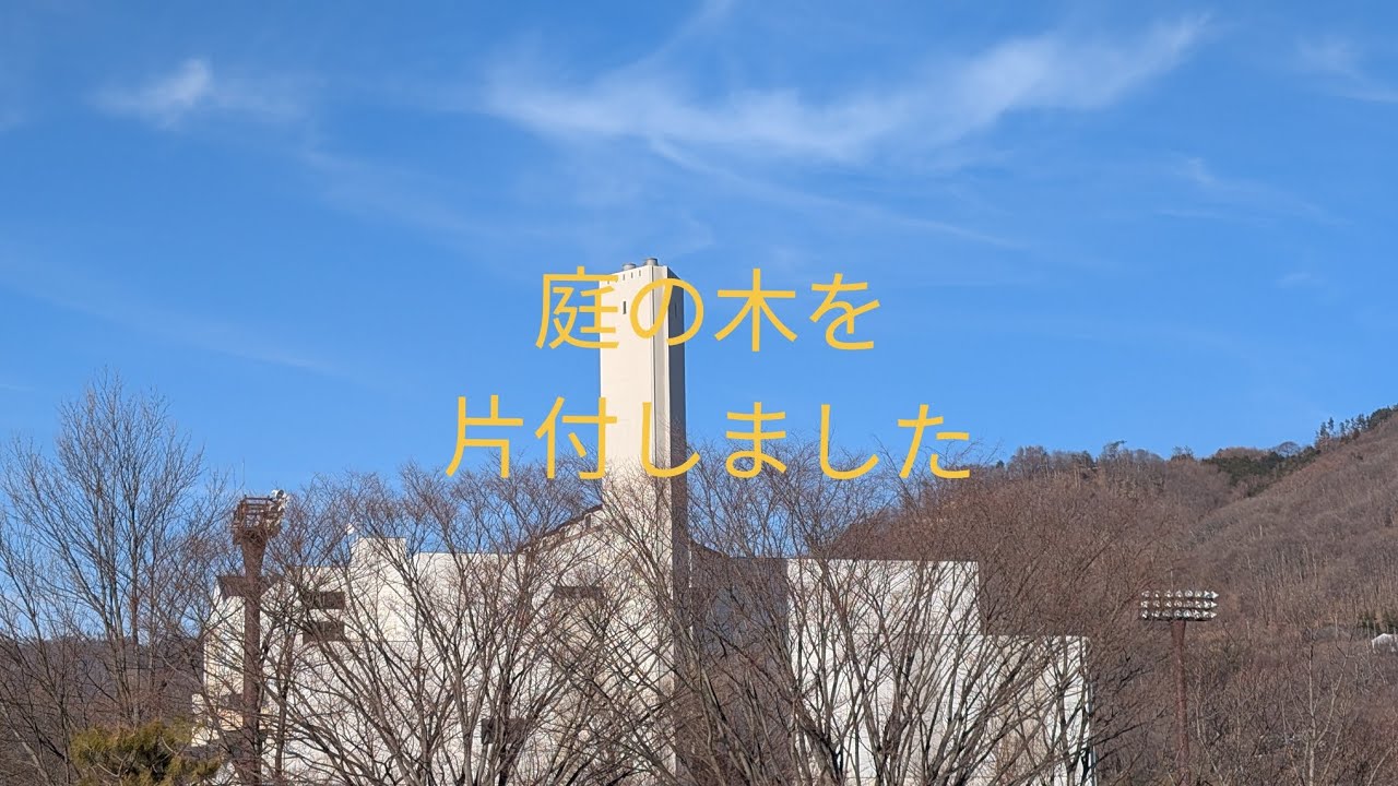 処分に困った木をリサセンターに捨てに行く