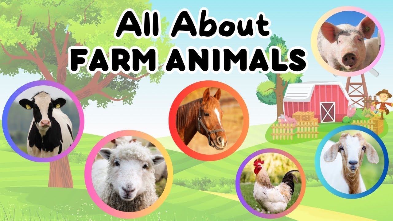 Farm Animal Song for Kids | Learn Horse, Rooster, Alpaca, Sheep and +More | Fun Educational Video