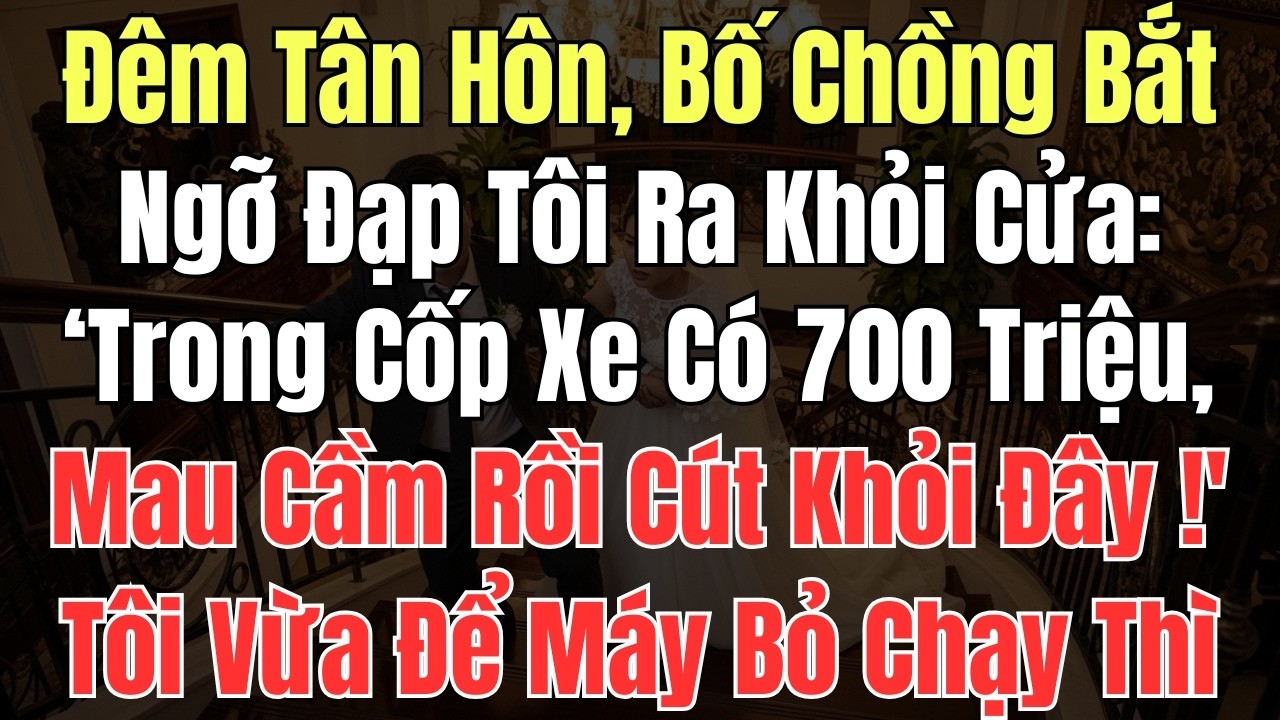 Đêm Tân Hôn, Bố Chồng Bắt Ngỡ Đạp Tôi Ra Khỏi Cửa: 'Trong Cốp Xe Có 700 Triệu, Mau Cầm Rồi Cút Khỏi