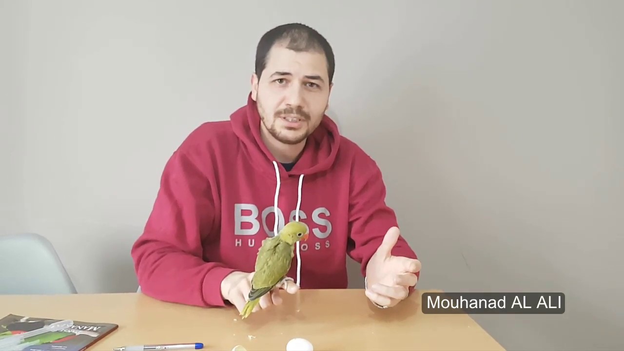 تحديد مكان منقار الفرخ داخل البيضة + مسابقة ؟