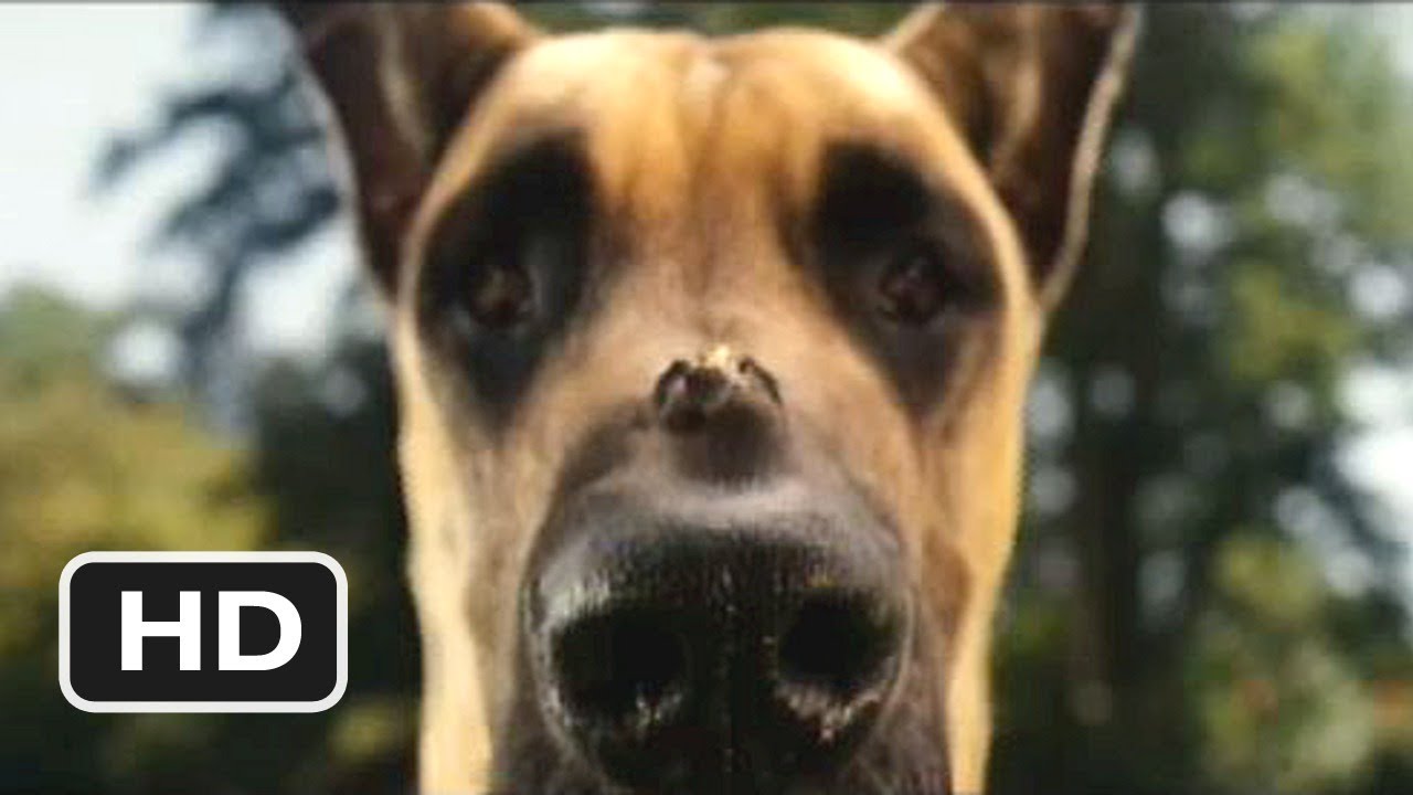 Marmaduke #4 Movie CLIP - Pretty Good Bee (2010) HD