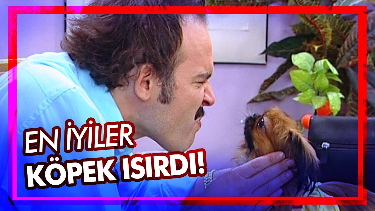 Burhan'ı köpek ısırıyor - Best of Avrupa Yakası