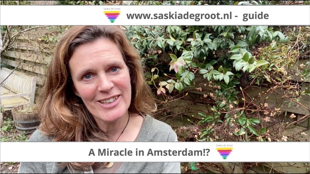 A Miracle in Amsterdam!?