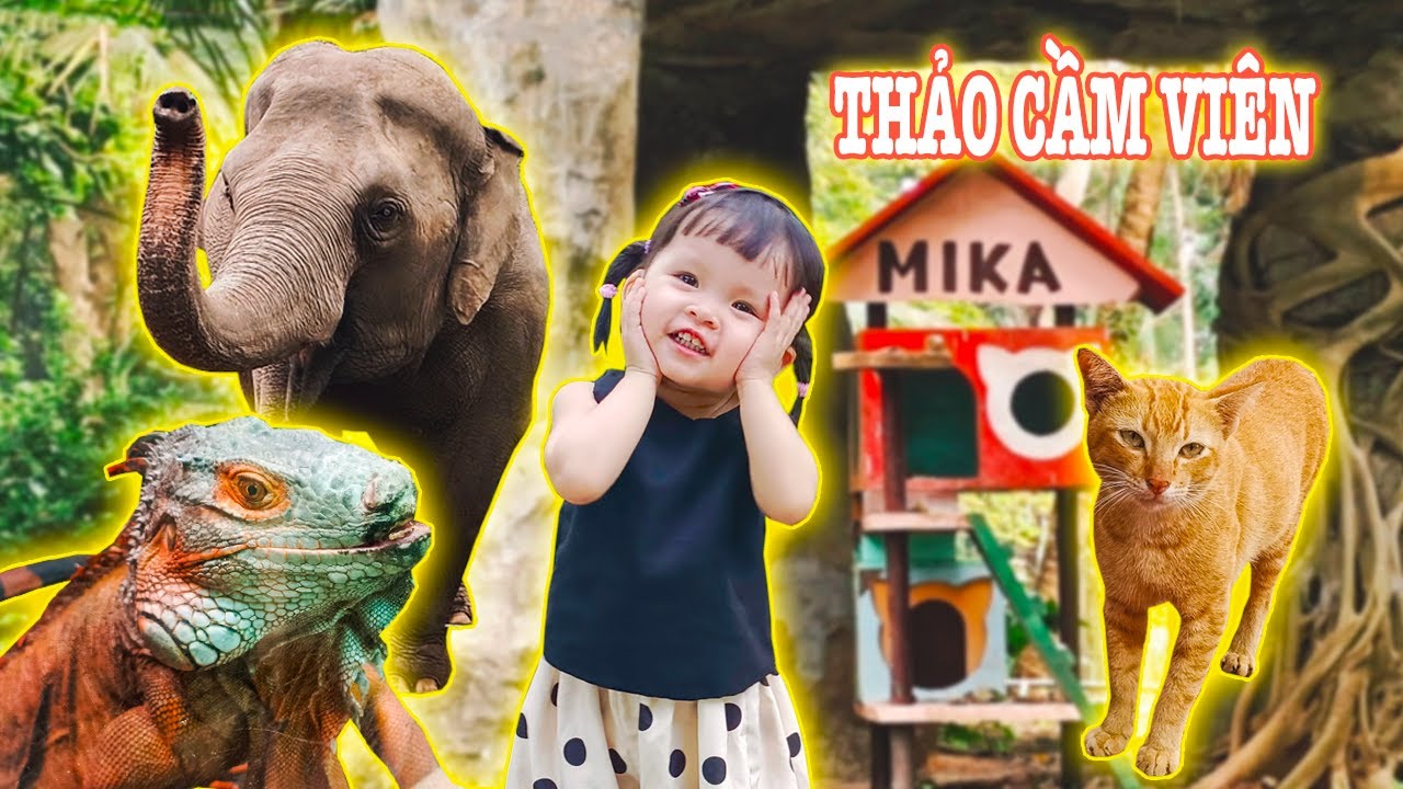 Bánh Mì Lần Đầu Đi Thảo Viên Gặp Idol Mèo Mika ❤️ Gia Đình Bánh Mì