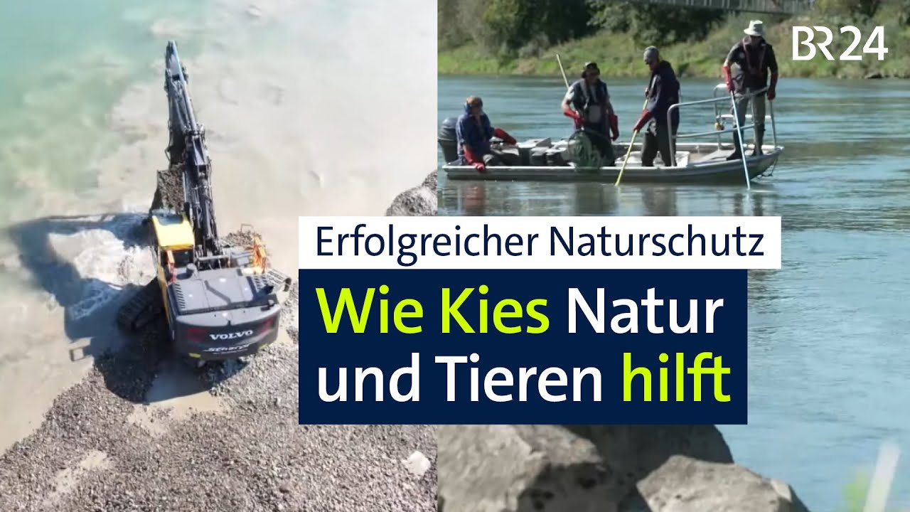 Naturschutz: Wie Kies die Iller lebendig h&auml;lt | Abendschau | BR24