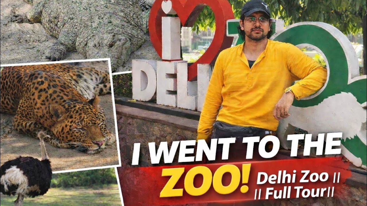 Delhi Zoo || Full Tour 🐯🦁 | Complete Travel Guide