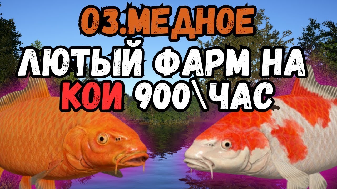 #39 ПУТЬ УНИВЕРСАЛА Фарм серебра на новые катушки Русская рыбалка 4 - рр4 #rr4  #Shorts #рр4