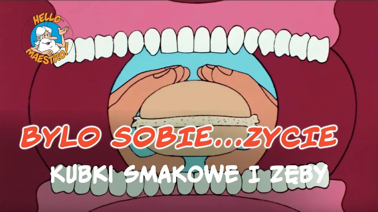 Bylo Sobie... Zycie 🌱 - Kubki smakowe i zęby 🦷