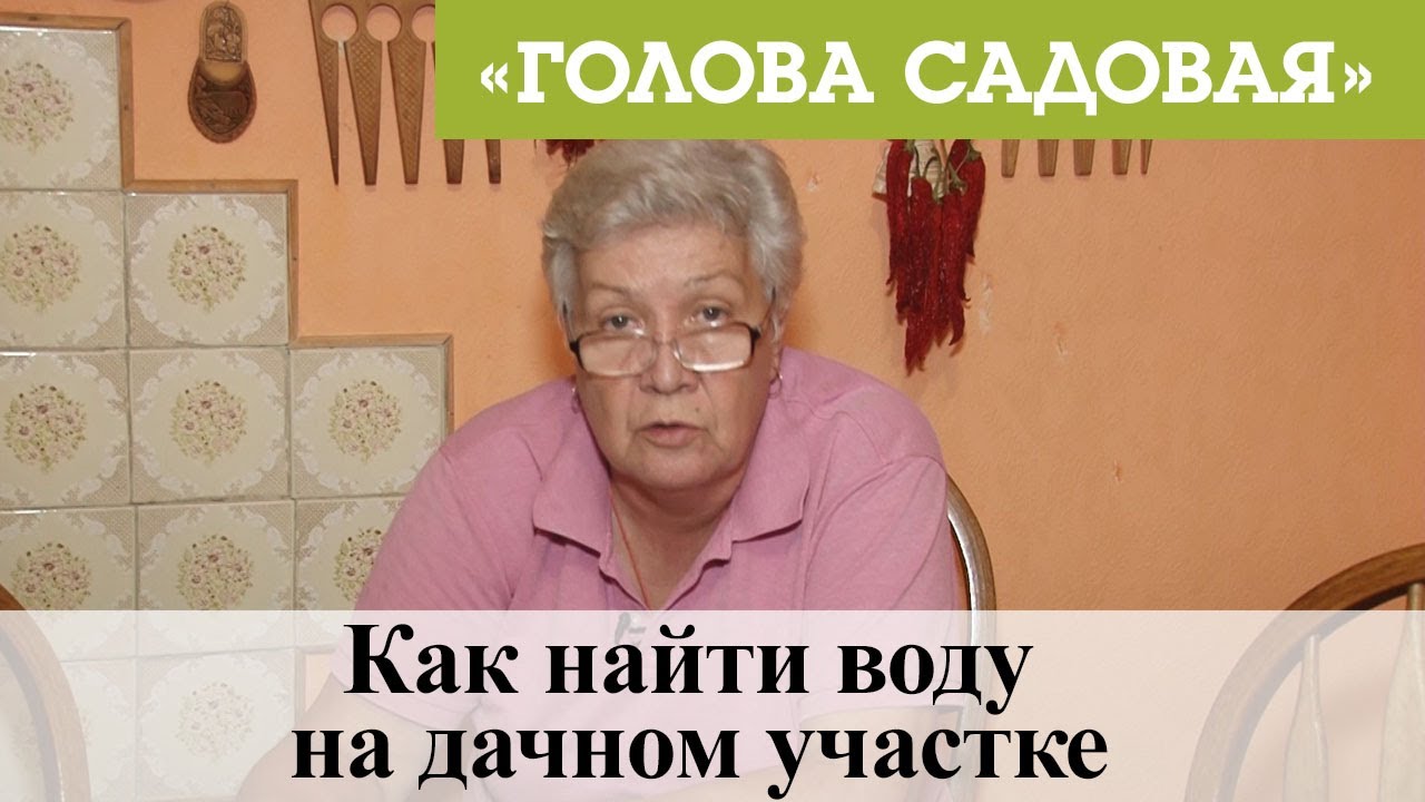 Голова садовая - Как найти воду на дачном участке
