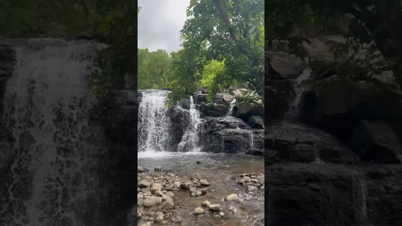 Cooking in the Jungle & Waterfall Fun on a Rainy Day. | #waterfall #rainyday #fun #forestcooking