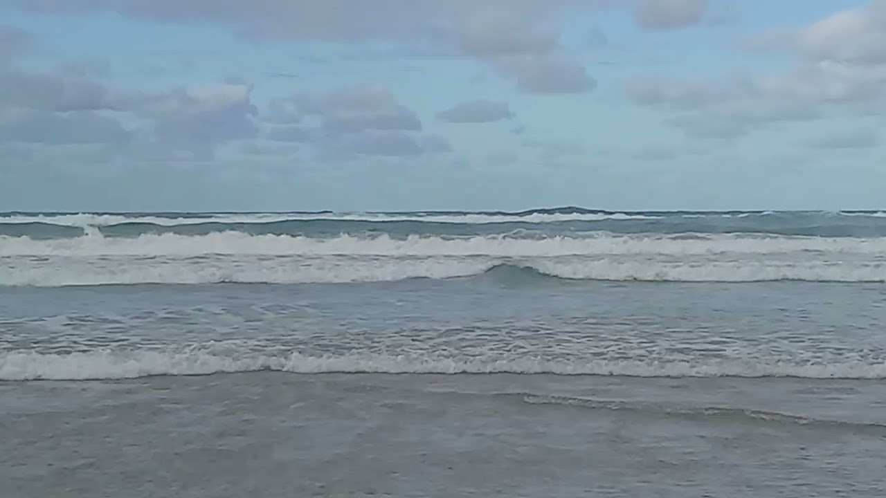 Immense plage de la forêt diplomatique 