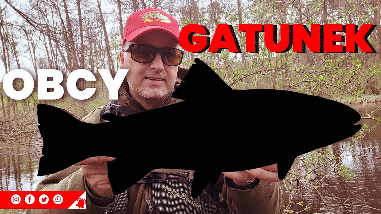 Tej ryby totalnie się nie spodziewałem !!! Wiosenny Spinning na dużej rzece.