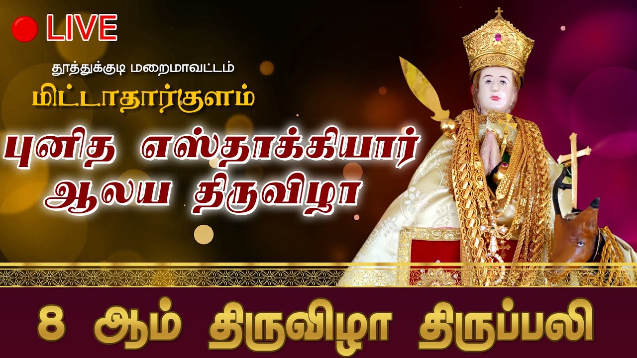 LIVE | 8 ஆம் திருவிழா | புனித எஸ்தாக்கியர் ஆலய திருவிழா 2025 | Mittatharkulam