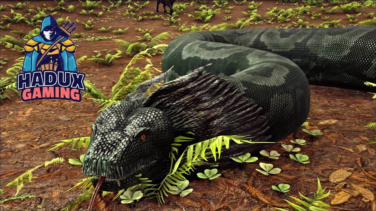 Ark türkçe Titanoboa (Yılan) Evcilleştirme | ARK Survival Evolved Ragnarok (MODSUZ) S1B57