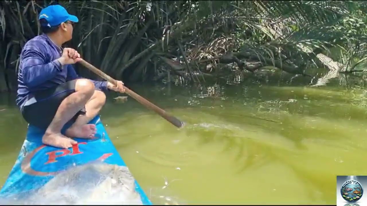 Giăng Lưới Tại Sông Nhà Bè ( phần 1 )