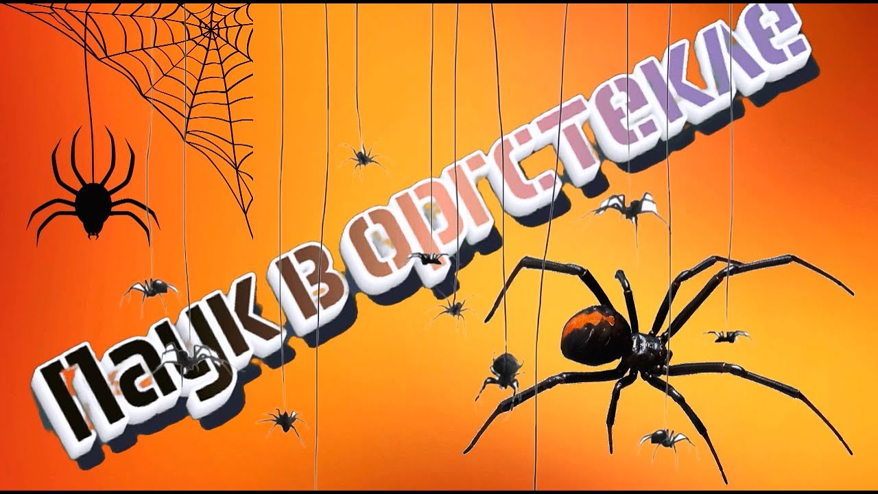 Паук в оргстекле/Наконечники для чёток с пауком/чётки/Rosary /Carving in plexiglass