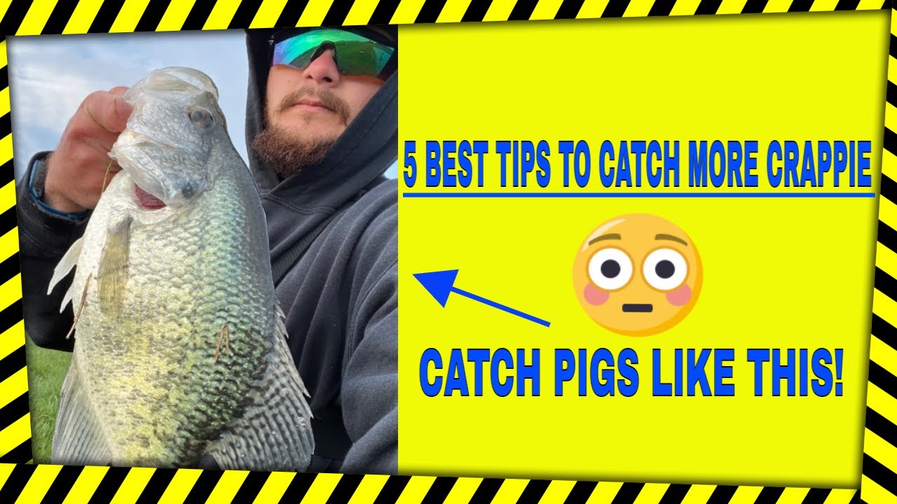 TOP 5 CRAPPIE FISHING TIPS