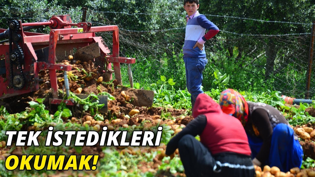 Tarım işçisi çocuklar okula devam etmek istiyor