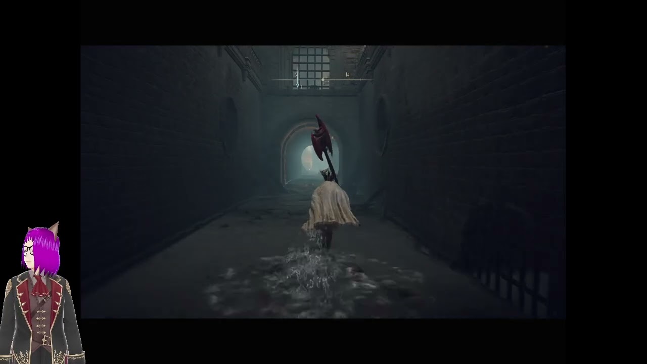 Elden ring Randomizer Race part 5 with Dream Jello