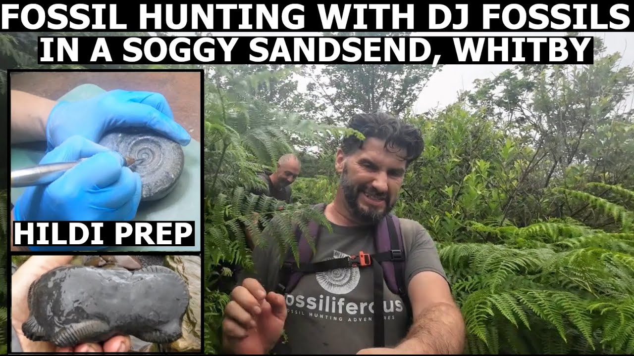 Fossil Hunting with @DJ Fossils at a very wet and soggy Sandsend, #whitby