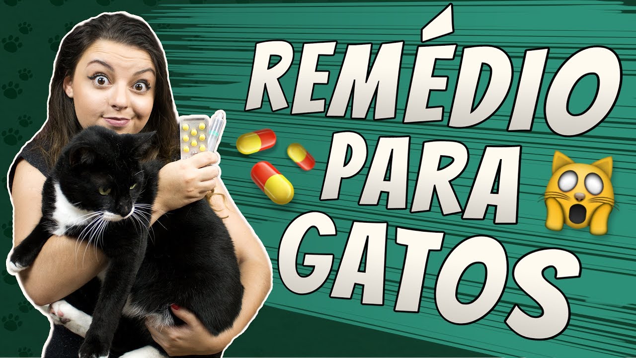 Como dar remédio para Gato? | DICA DE GATEIRA #8
