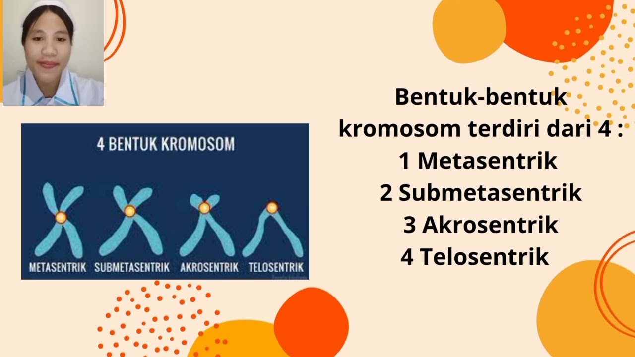 Animasi Pembelajaran Analisis Kromosom dan Sitogenetika S1_Kebidanan Tingkat 1B