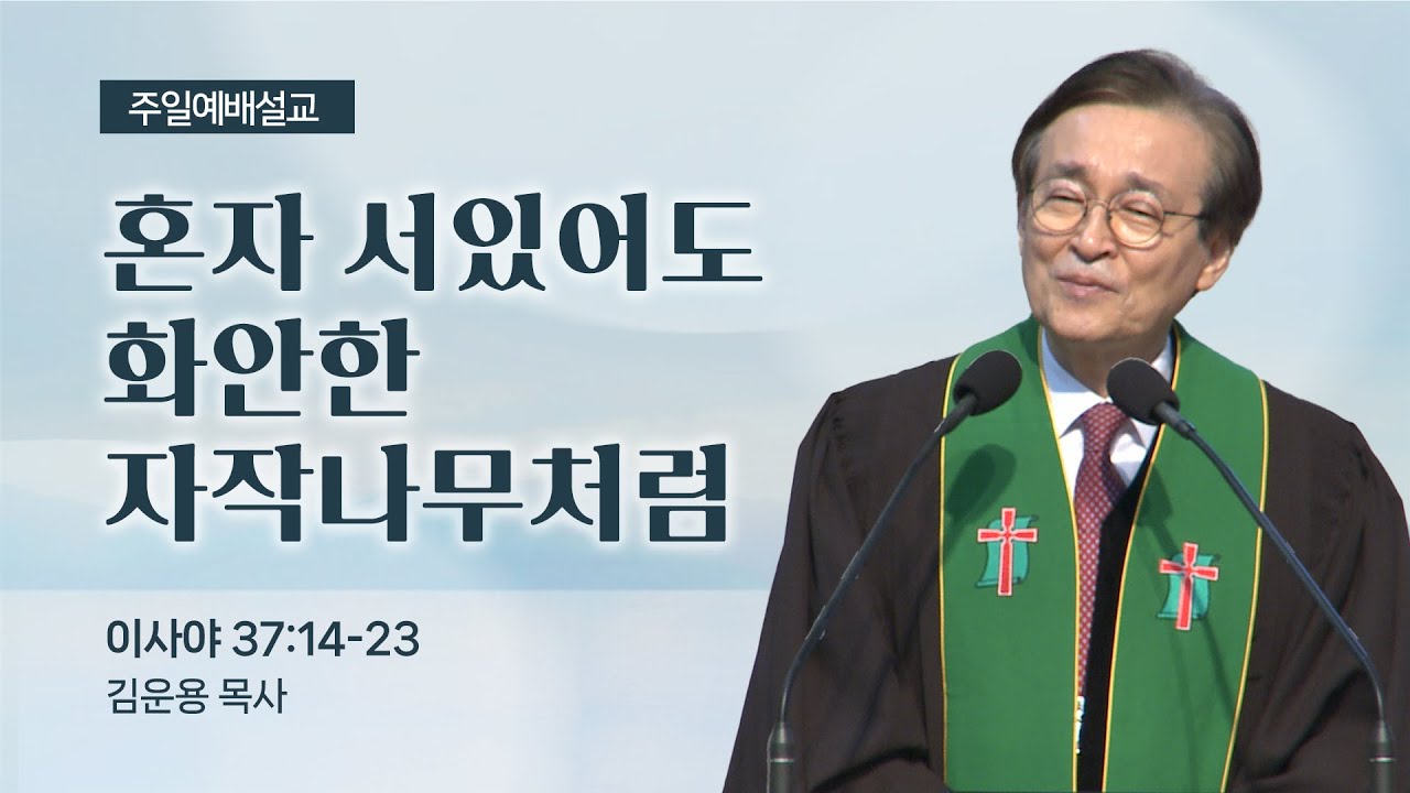 [김운용 목사 주일설교] 혼자 서있어도 화안한 자작나무처럼(사 37:14-23) | 2026. 2. 8