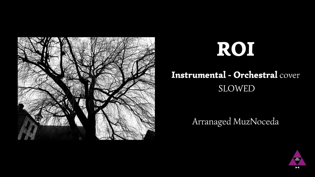Roi Instrumental - ORCHESTRAL Slowed Cover | MuzNoceda