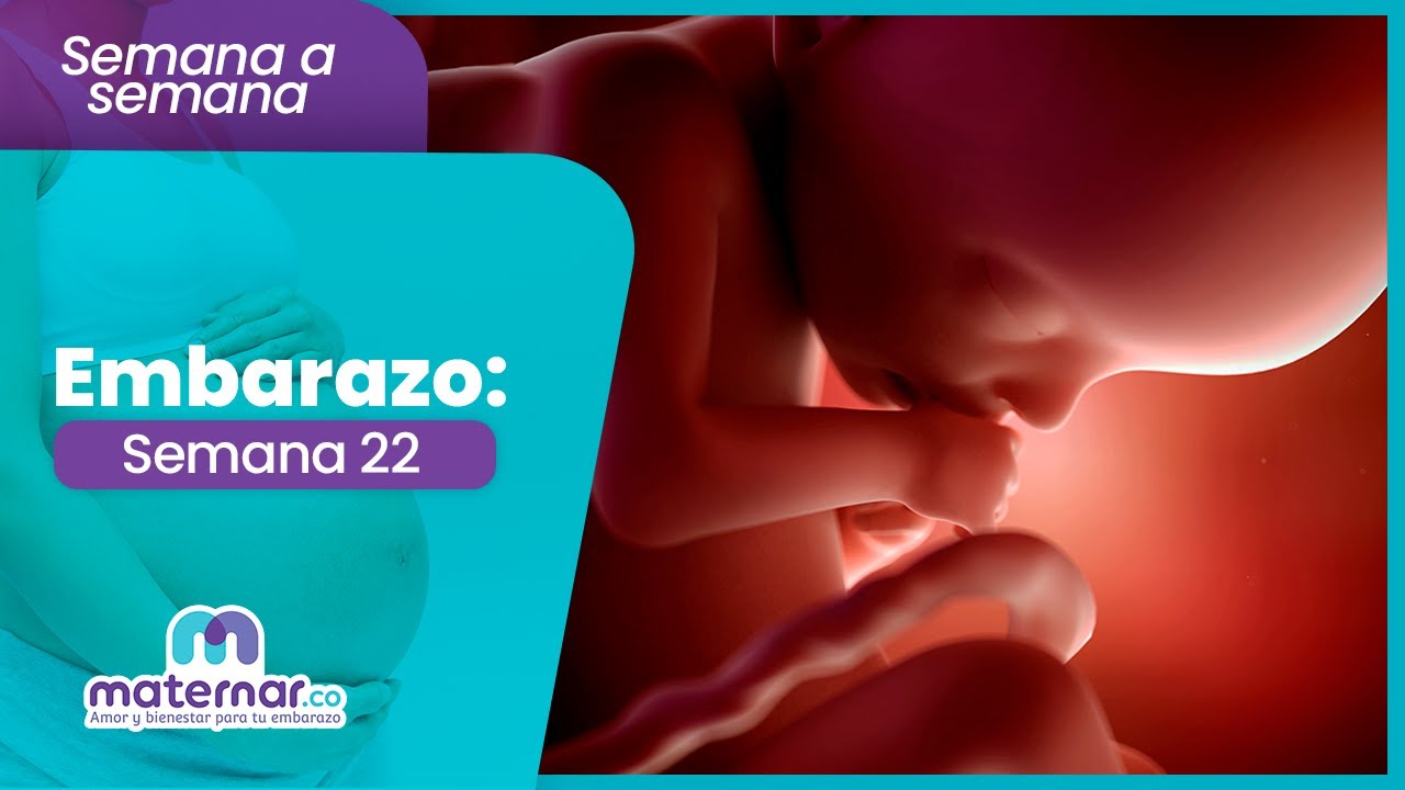 Semana 22 de embarazo: Aparición de venas varices, ¿qué son y cómo evitarlas? | Maternar.co