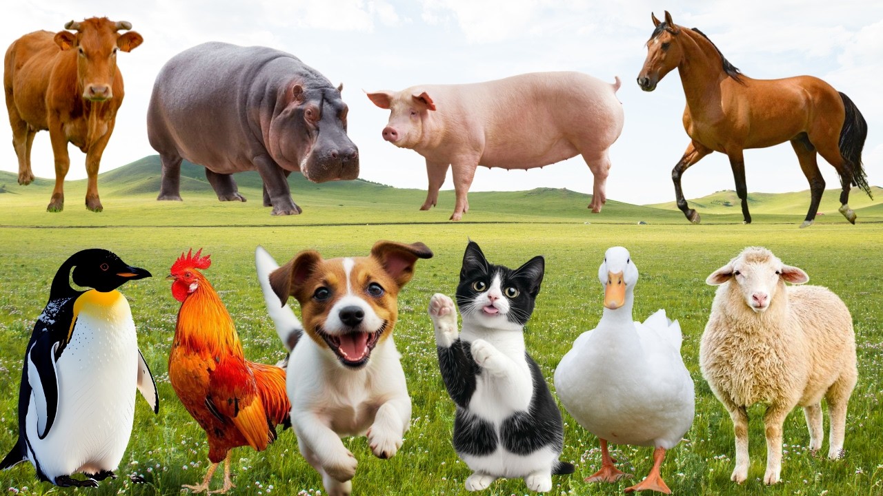 🌿Đồng Quê Bỗng Thành 