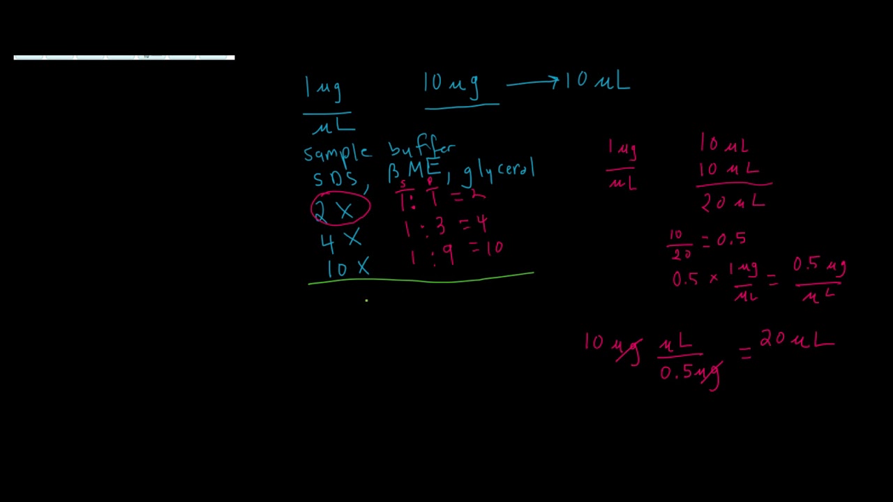 Preparing samples for SDS-PAGE analysis