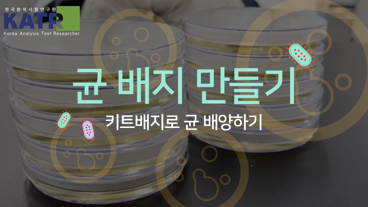 연구원 균 배지만들기🧫 | 집에서 균 배지만들기(배지만들기 키트) | 생활속 균 검출 (핸드폰📱/손✋/텀블러/녹농균) 일반배지가 만들어지는 과정부터 피배지까지!🩸