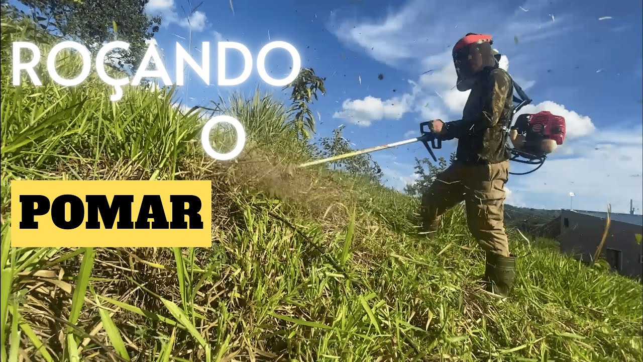 ROÇADEIRA COSTAL em ação - cuidando do pomar