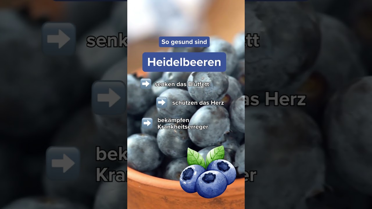 Heidelbeere, Bickbeere, Blaubeere &ndash; So gesund sind sie |&nbsp;#foodfacts