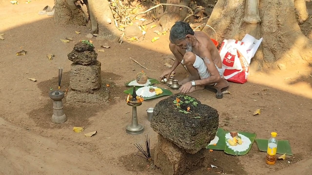 ബ്രഹ്മരക്ഷസ് പൂജ, നാഗ പൂജ 2k26