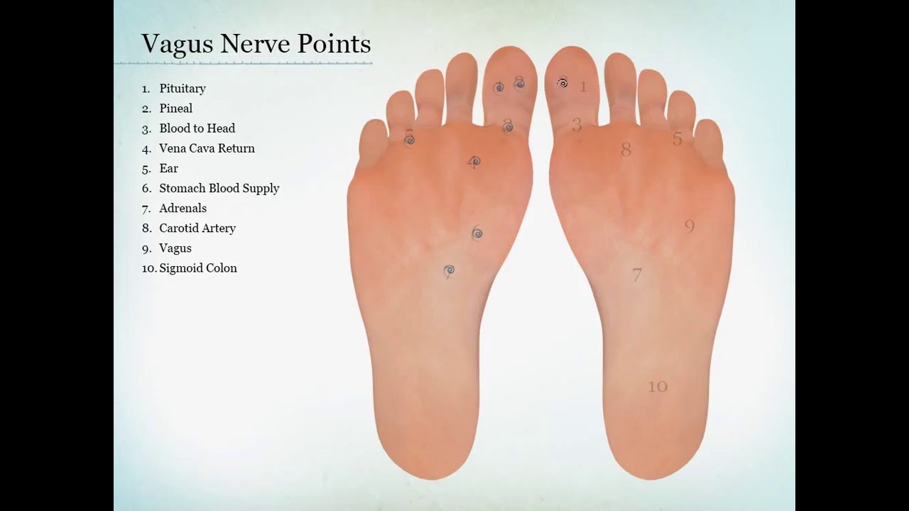 Vagus Nerve Points Drawing-Foot Zoning