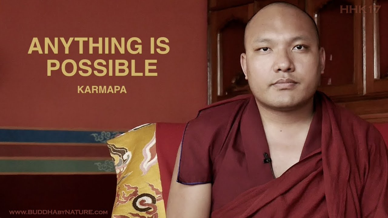 KARMAPA • ANYTHING IS POSSIBLE