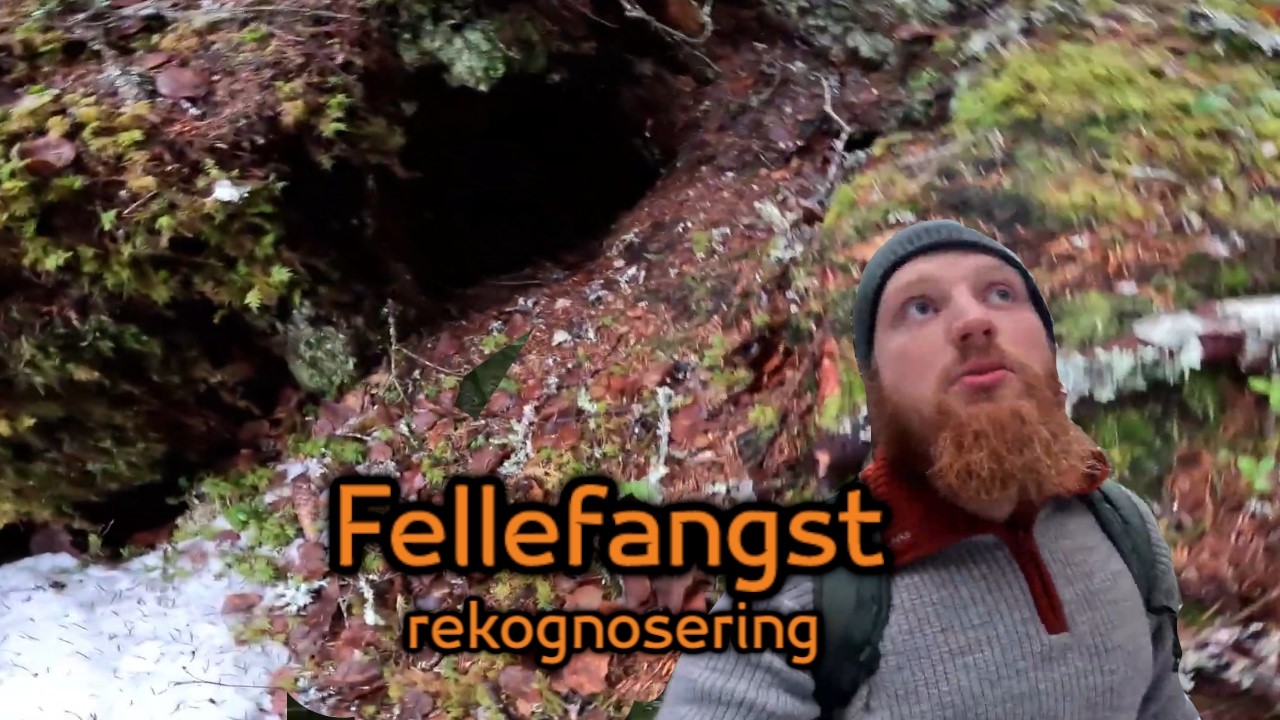 Prosjekt fellefangst av smårovvilt. Episode 1 - Rekognosering