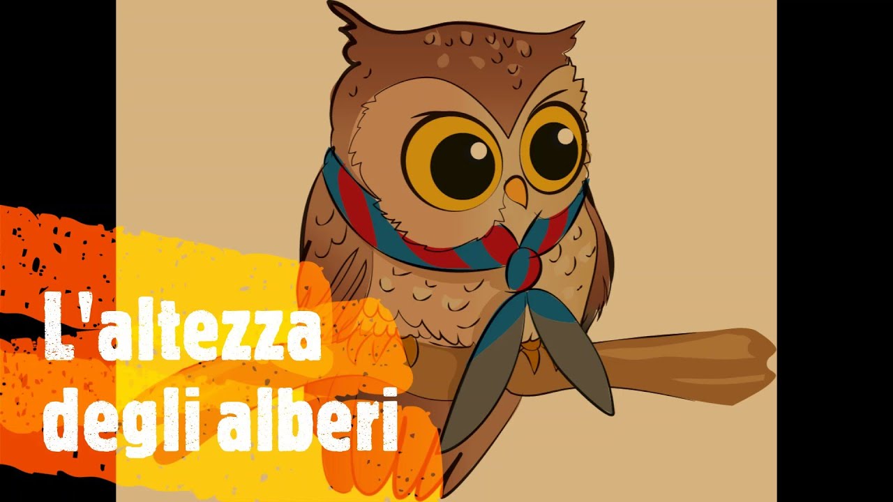 L'altezza degli alberi