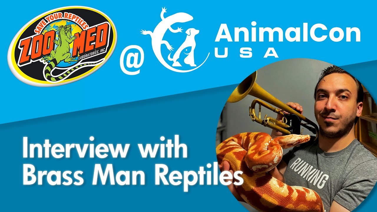 Brass Man Reptiles Interview - AnimalCon USA 2022
