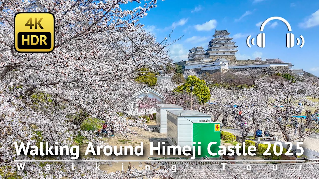 Walking Around Himeji Castle in Full Bloom 2025 [4K/HDR/Binaural]
