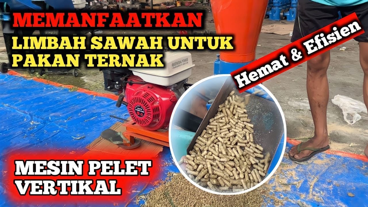 MESIN PELET SOLUSI MUDAH BUAT PAKAN TERNAK