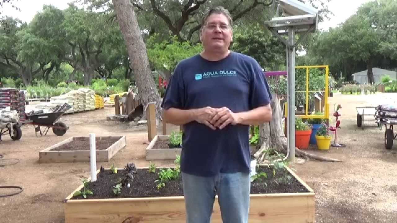 Wicking Bed