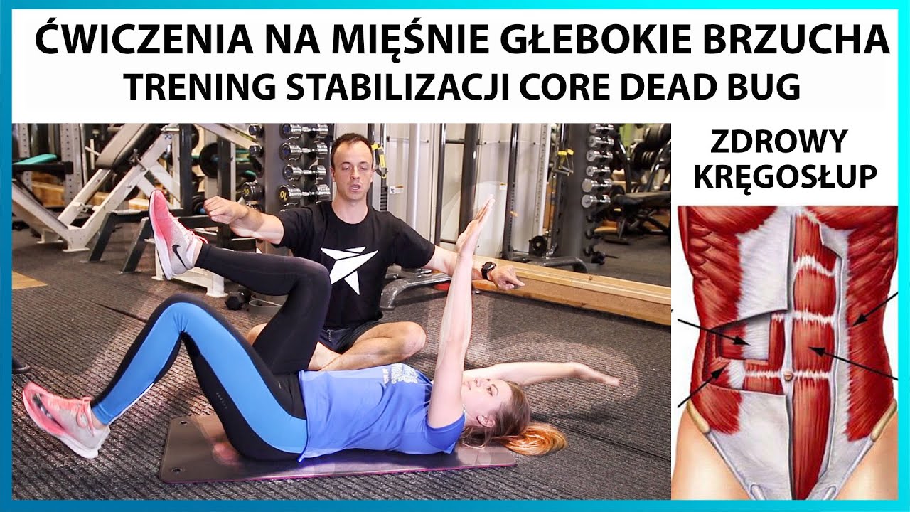 Jak ćwiczyć mięśnie głębokie brzucha? Trening stabilizacji kręgosłupa mięsień poprzeczny DEAD BUG