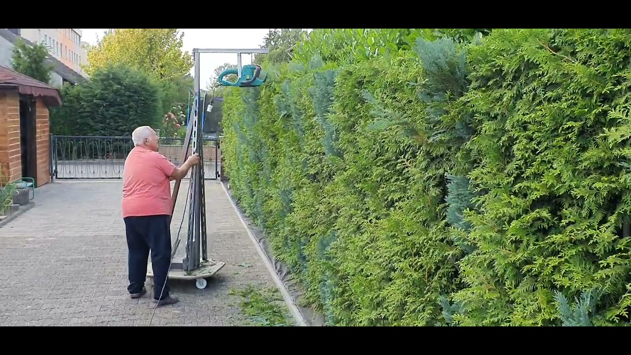 Hecke schneiden ;)