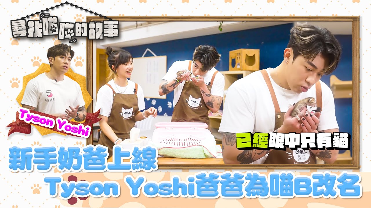 尋找喵喵的故事 ｜EP7 PT2｜新手奶爸上線 Tyson Yoshi爸爸為喵B改名 ｜ Tyson Yoshi ｜ HOYTV