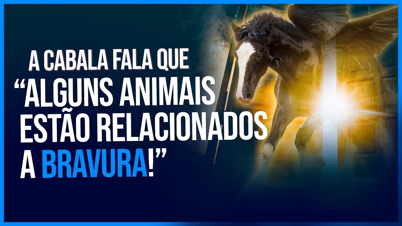 Animais na Cabala - Conheça os seres incríveis