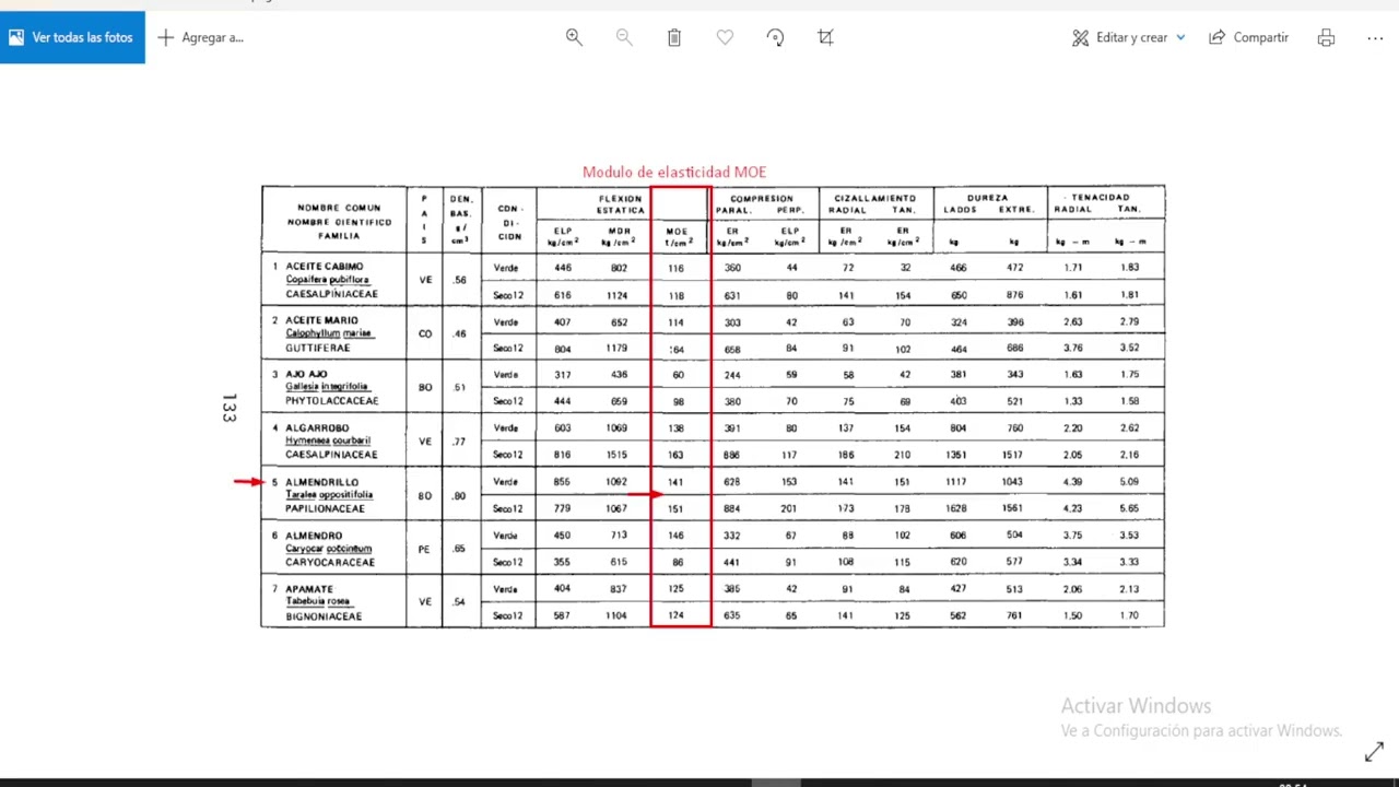 7. Analisis de cercha de madera - Material, definición de sección
